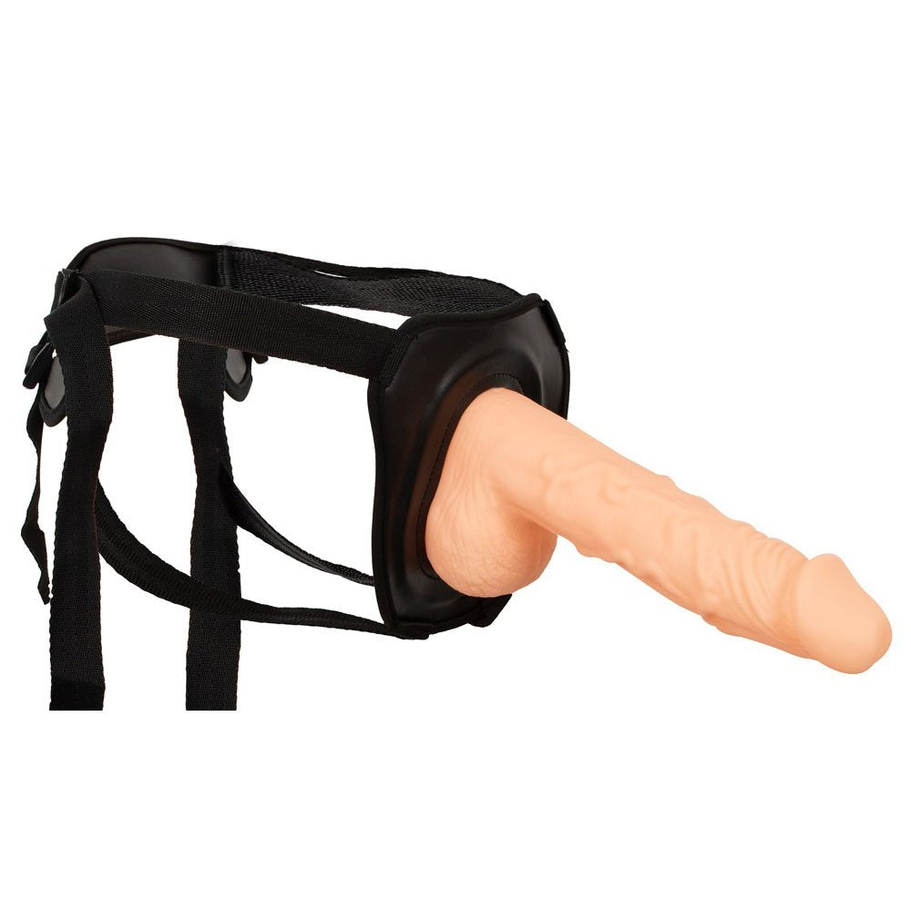 ERECTION ASSISTANT