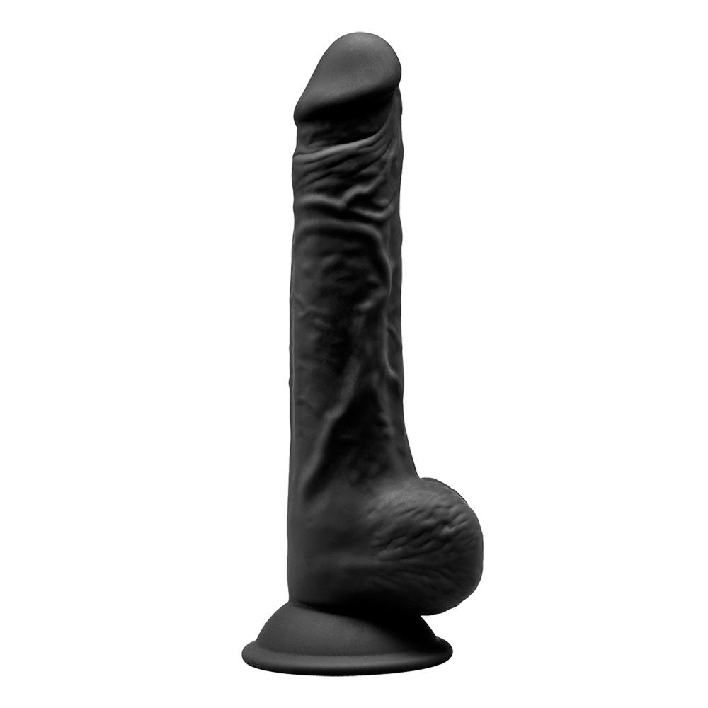 Model 1 9'5"