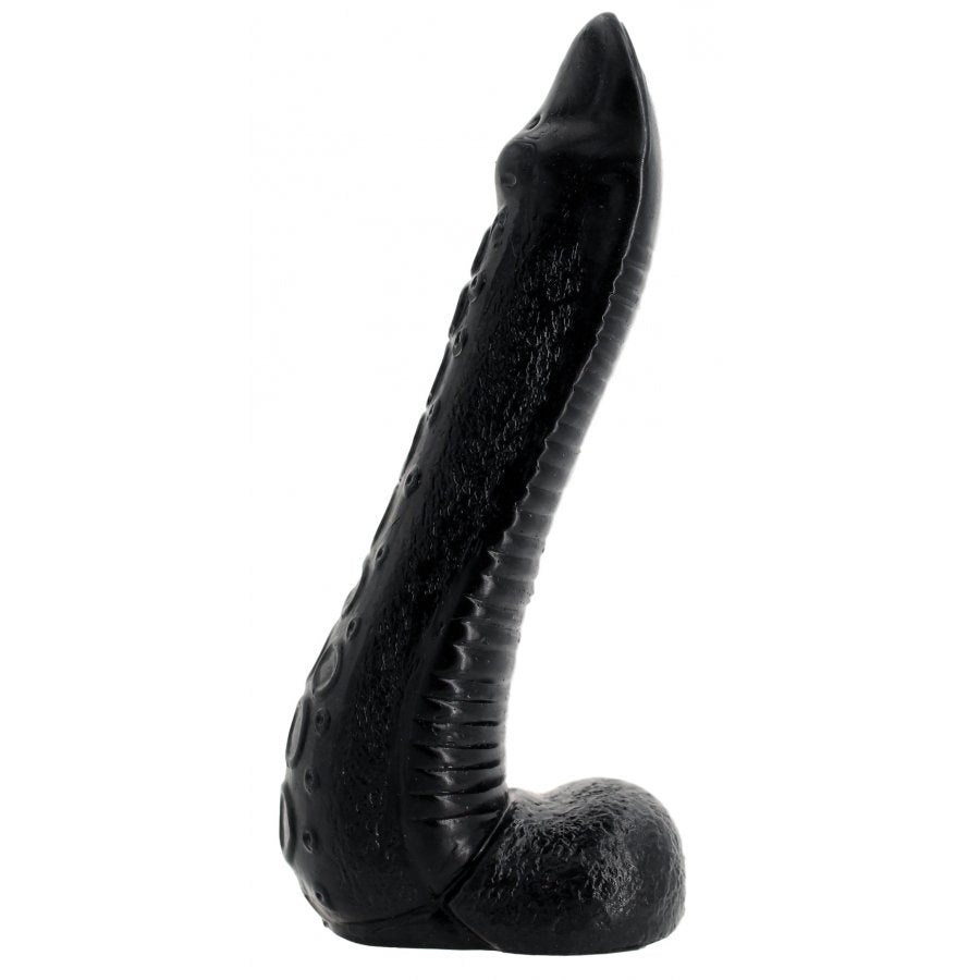 NAUTILA 21,5 x 6 cm