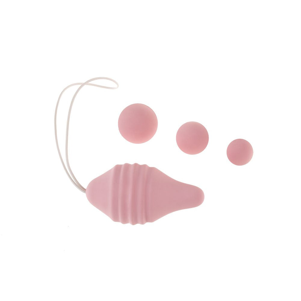 PELVIX CONCEPT